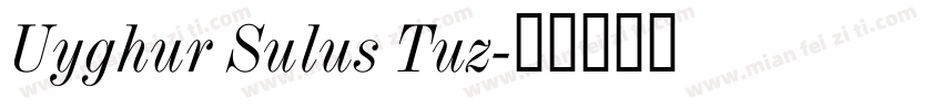 Uyghur Sulus Tuz字体转换